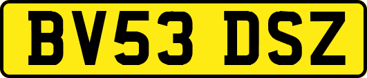 BV53DSZ