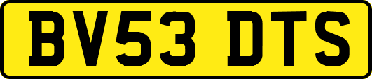BV53DTS
