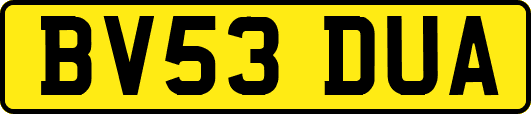 BV53DUA