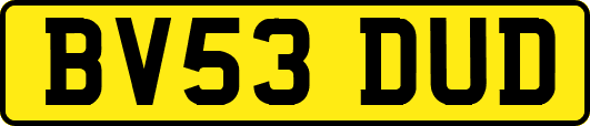 BV53DUD