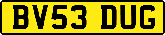 BV53DUG