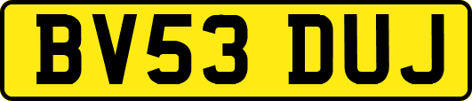 BV53DUJ