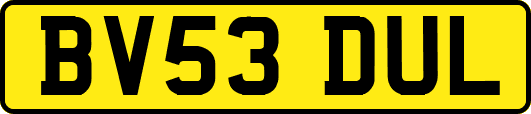 BV53DUL