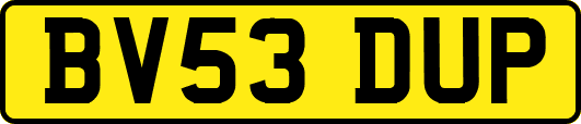 BV53DUP