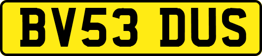 BV53DUS