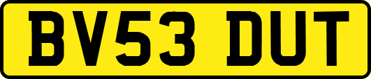 BV53DUT