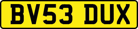 BV53DUX
