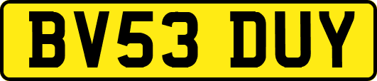 BV53DUY