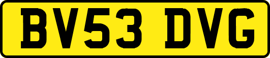 BV53DVG