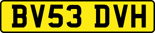 BV53DVH