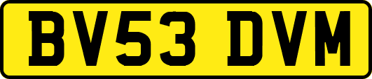 BV53DVM
