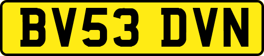BV53DVN
