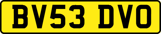 BV53DVO
