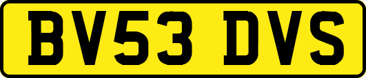 BV53DVS