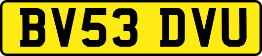 BV53DVU
