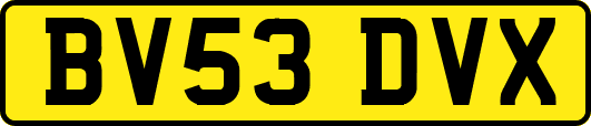BV53DVX