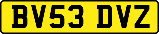 BV53DVZ