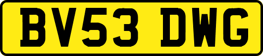 BV53DWG