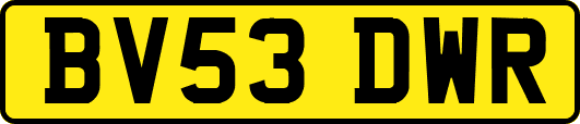 BV53DWR