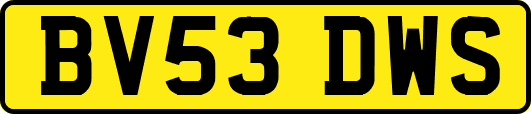 BV53DWS