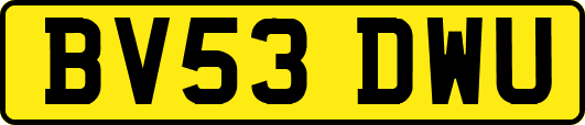 BV53DWU