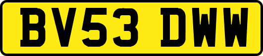 BV53DWW