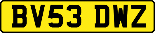 BV53DWZ