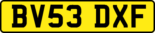 BV53DXF