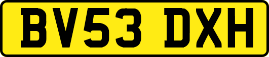 BV53DXH