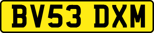 BV53DXM