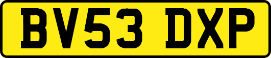 BV53DXP