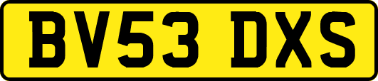 BV53DXS