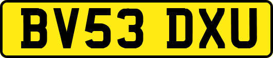 BV53DXU