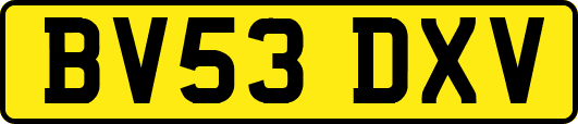 BV53DXV