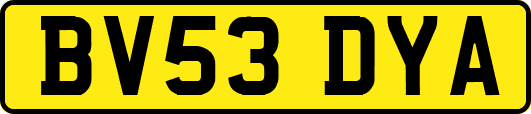 BV53DYA