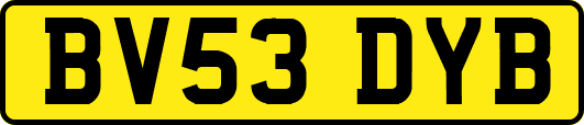 BV53DYB