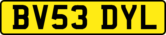 BV53DYL