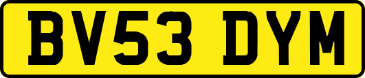 BV53DYM