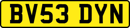 BV53DYN