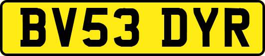 BV53DYR