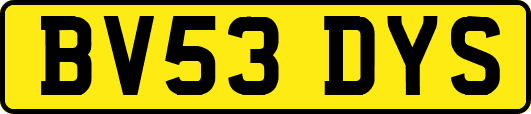BV53DYS