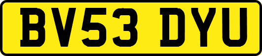 BV53DYU
