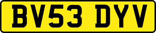 BV53DYV