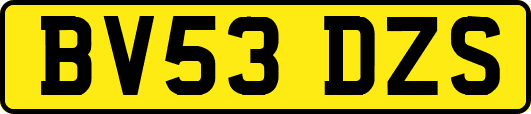BV53DZS