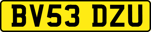 BV53DZU