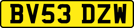 BV53DZW