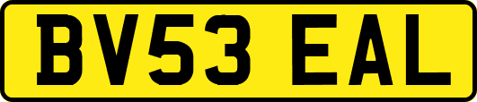 BV53EAL