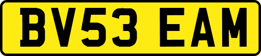 BV53EAM