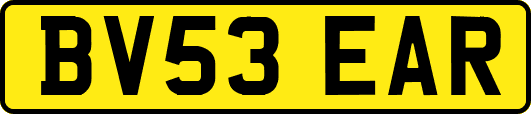 BV53EAR