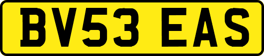 BV53EAS